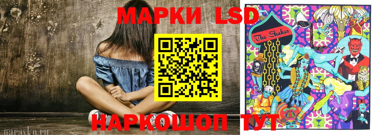 Канаш  Марки N-bome 1,8мг  Вход с VPN 