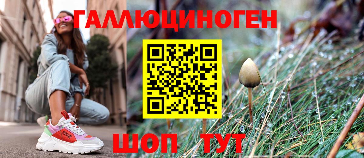 Галлюциногенные грибы MAGIC MUSHROOMS  Вход с VPN  Канаш 